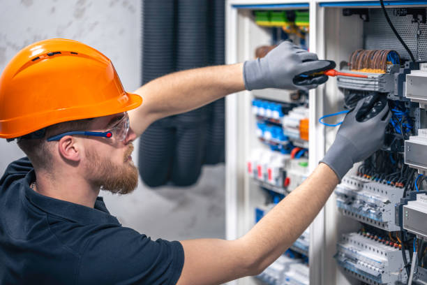 Best Local Electrician Companies  in Edwardsville, PA
