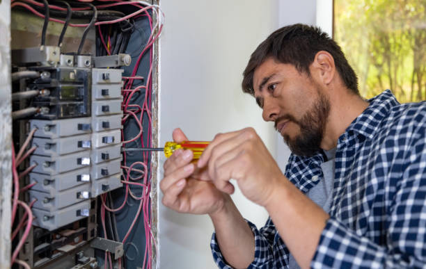 Best Electrical Upgrades for Homes  in Edwardsville, PA